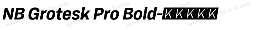 NB Grotesk Pro Bold字体转换